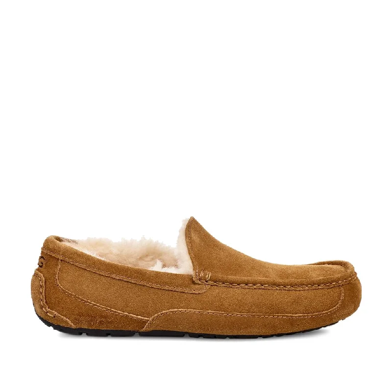 Men's Shock-Absorbing Shoes UGG Men's Ascot in Chestnut