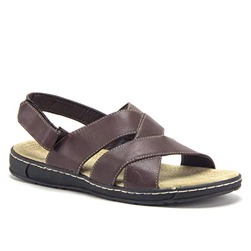 Brown-1
